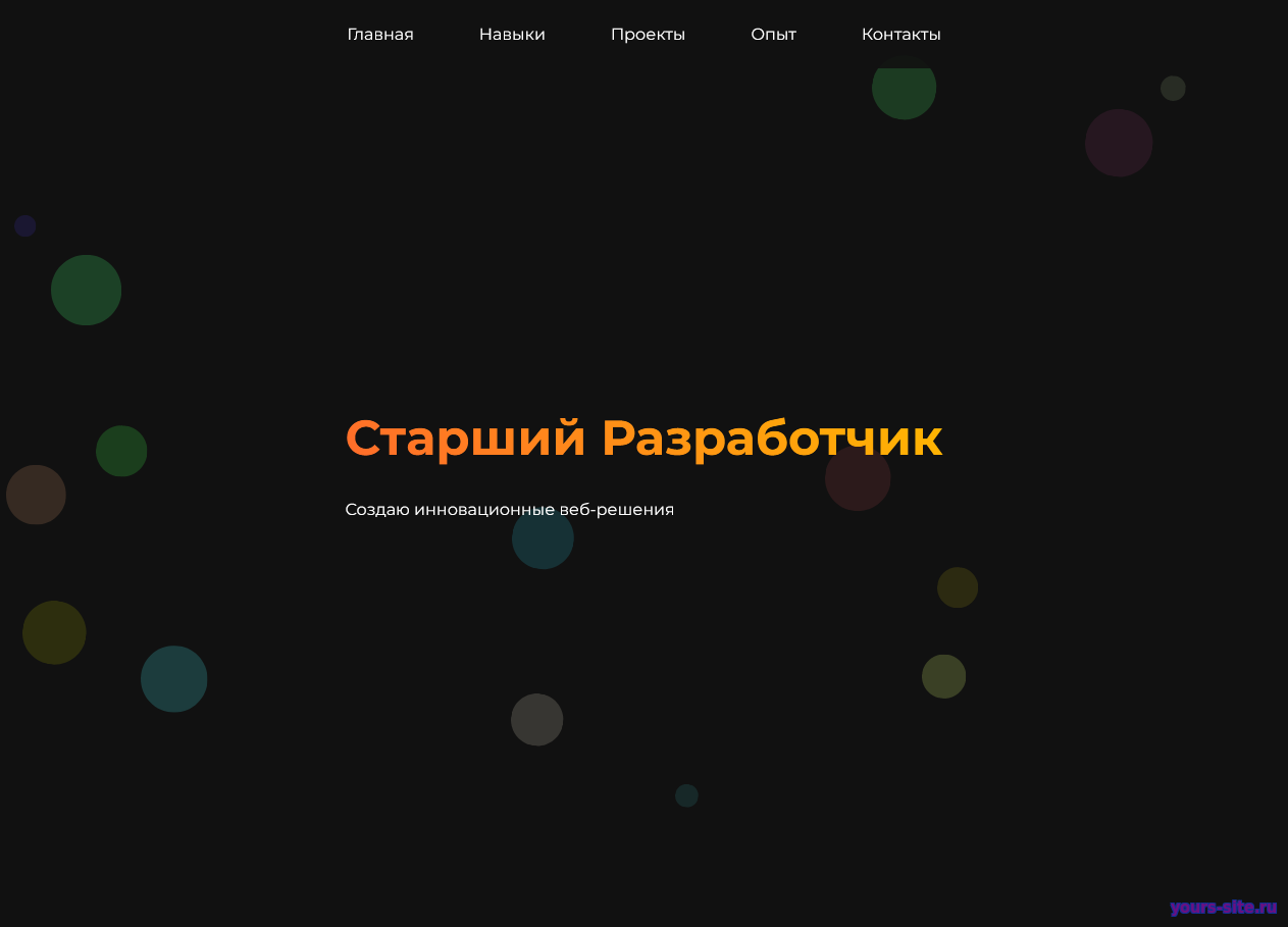 Портфолио